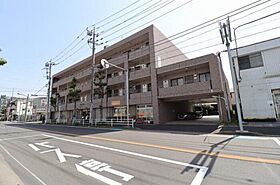 パインツリーコート  ｜ 千葉県松戸市上本郷（賃貸マンション3DK・3階・64.81㎡） その1