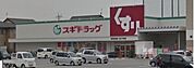 スギドラッグ彦根東店まで1223m、バローの隣に御座います。