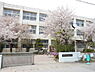 周辺：彦根市立金城小学校まで1549m