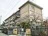 周辺：八尾市立永畑小学校まで797m