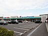 周辺：万代岸和田磯上店まで1261m