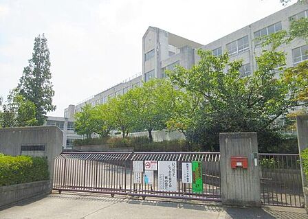 堺市立新浅香山小学校まで650m