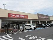 コープながはま店まで816m、食品や日用品が揃うお店です。