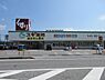 周辺：スギ薬局長浜店まで701m