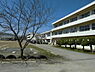 周辺：木更津市立波岡小学校まで2339m