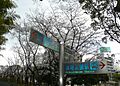 「服部緑地」の...