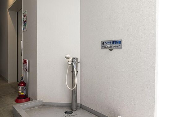 ペット足洗い場