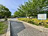 周辺：那珂公園まで989m