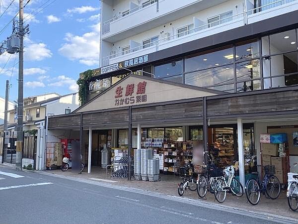 周辺を拡大表示