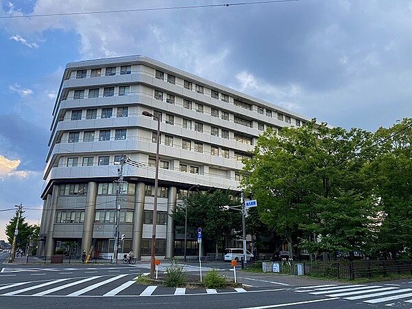 周辺を拡大表示