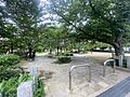 桜井公園まで7...