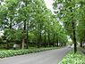 周辺：ローム沿道まで330m