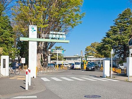 独立行政法人国立病院機構相模原病院まで1300m