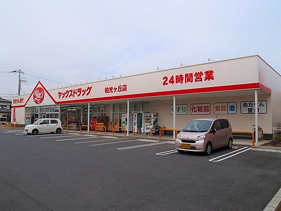 ヤックスドラッ...