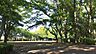 周辺：柏市南部公園まで260m
