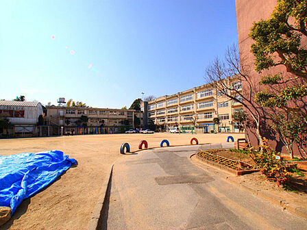 松戸市立小金小学校まで900m