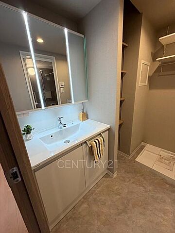 洗面 ダイアパレス前橋南町 4階/-