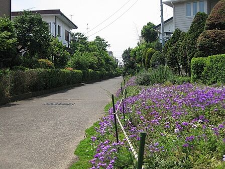 さがみの仲よし小道まで559m