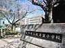 周辺：松戸市立殿平賀小学校まで900m