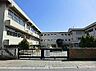 周辺：松戸市立上本郷小学校まで795m