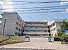 周辺：松戸市立六実中学校まで1300m