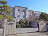 周辺：柏市立松葉中学校まで1100m
