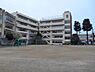 周辺：松戸市立小金小学校まで699m