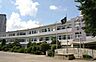 周辺：柏市立柏第一小学校まで1100m