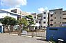 周辺：柏市立逆井中学校まで800m