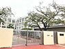 周辺：大阪市立横堤小学校まで161m