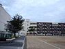 周辺：大東市立四条中学校まで704m