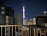 その他：日没〜24：00の間、京都タワーのライトアップをお楽しみ頂けます。基本ホワイトですが、啓発活動に合わせてイエローグリーンやピンク、パープルなどにライトアップが変化することもあります。