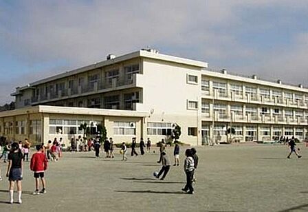 鎌倉市立玉縄小学校まで596m