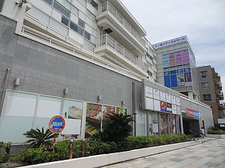サンドラッグ江ノ島店まで620m