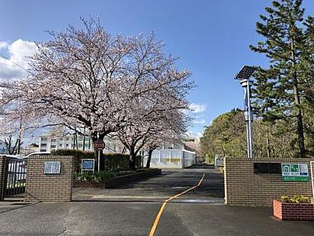 室田小学校まで592m
