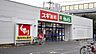 周辺：スギ薬局茅ヶ崎香川店まで201m