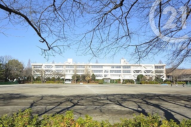 周辺 ホームタウン宮前5号棟 2階/-