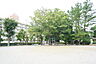 周辺：習志野台8丁目公園まで240m、所在地： 〒274-0063 千葉県船橋市習志野台8丁目42－10