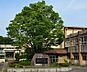 周辺：岡崎市立三島小学校まで350m、現地から350ｍ