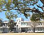 周辺：国立愛知教育大学附属岡崎小学校まで660m