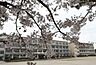 周辺：岡崎市立葵中学校まで180m