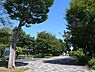 周辺：郷土の森公園まで355m