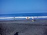 周辺：一宮海水浴場まで2392m