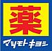 周辺：ウエルシア豊川蔵子店まで770m