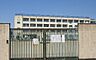 周辺：東大阪市立縄手東小学校まで252m