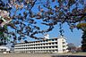 周辺：藤枝市立青島東小学校まで630m