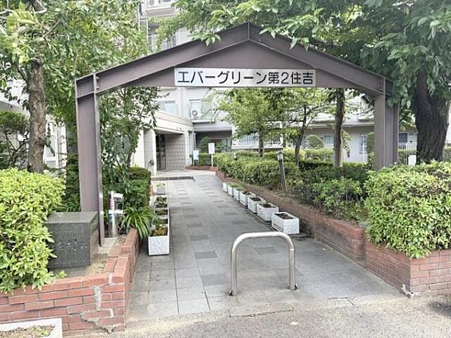 12 / 31