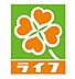 周辺：ライフあびこ店まで215m