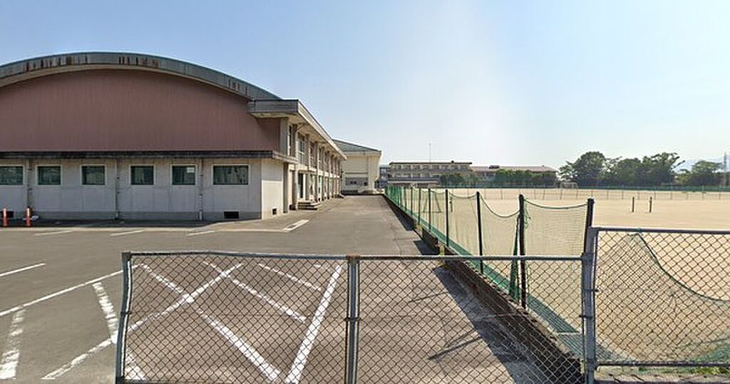 Image 11
