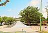 周辺：中根公園まで294m